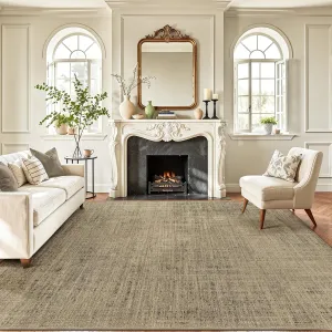 LUMI 4x6 Modern Farmhouse Area Rug, Vintage Washable Ultra-Soft Non-Slip Carpet, Neutral Low Profile Flat Weave Rug, Minimalist Indoor Floor Rug for Living Room, Dining Room, Home Decor